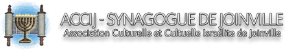 logo ACCIJ